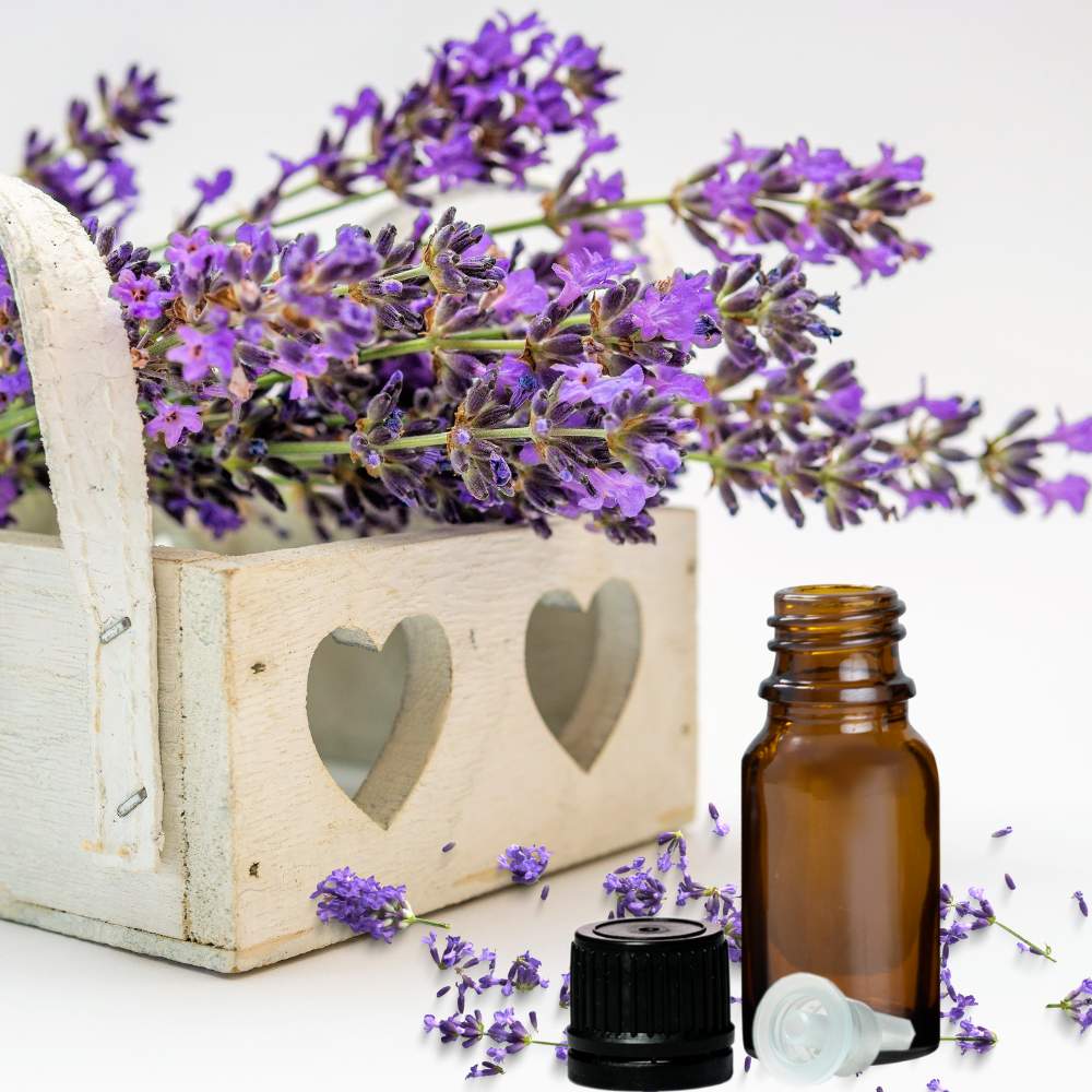 How Aromatherapy Can Change Your Life — One Breath at a Time